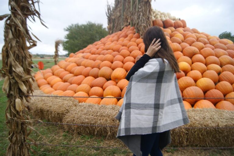 pumpkins and playoffs?