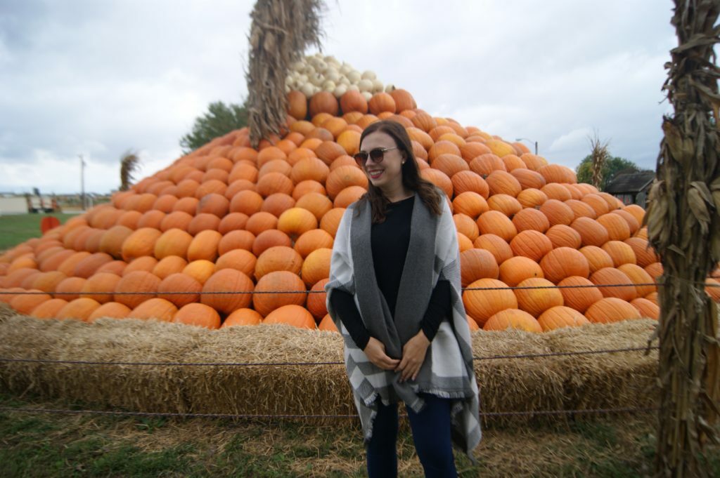 pumpkin patch