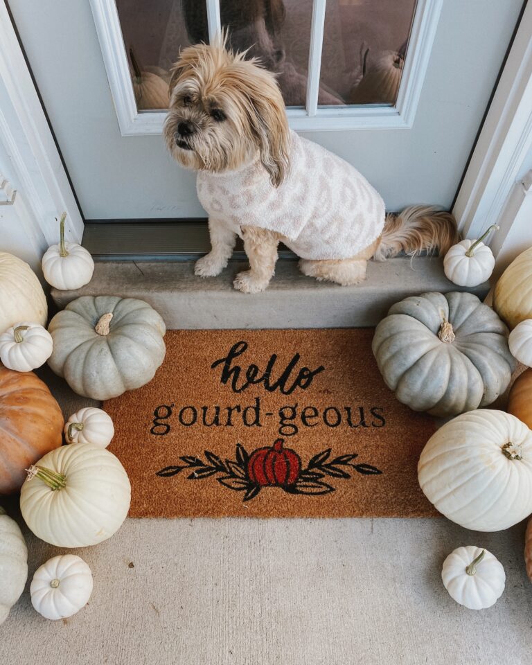 My Favorite Fall Doormats