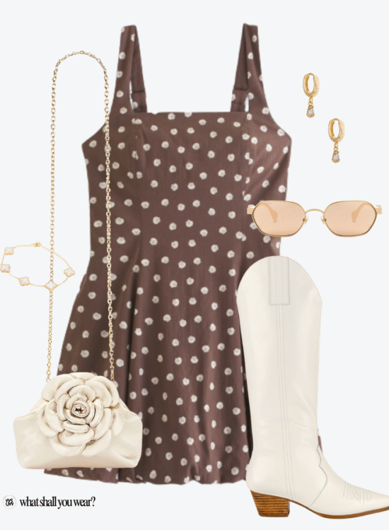 brown dot dress outfit collage