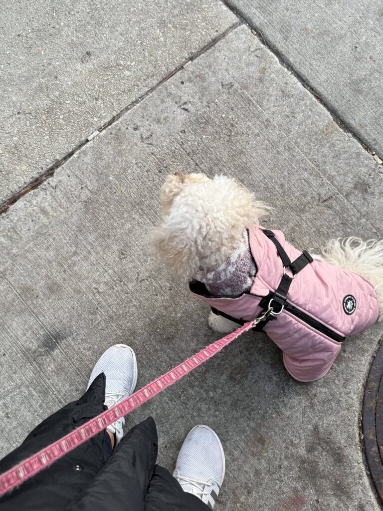 a woman's feet and a dog in a puffer coat sitting on the ground