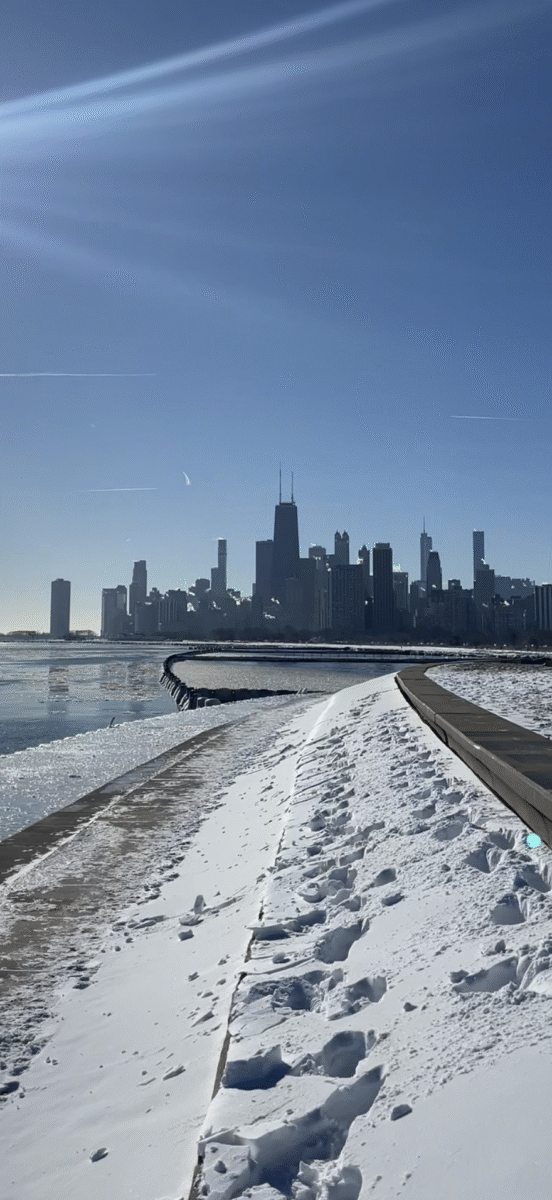 the chicago skyline with snow on the ground